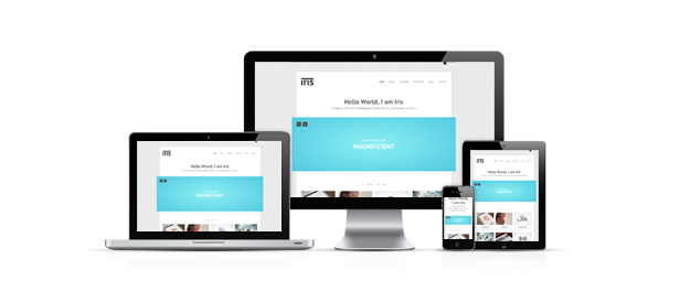 Iris - Clean / Responsive / Ajax / WordPress - 1