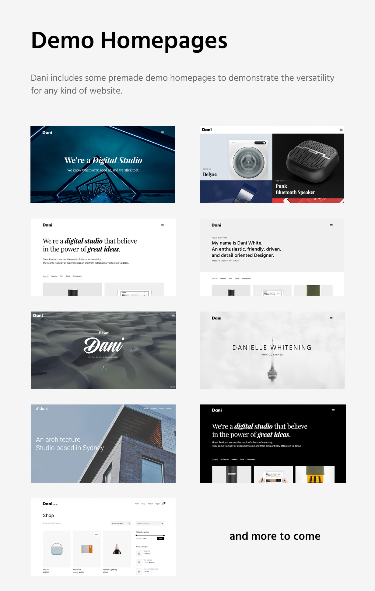 Dani - A Storming Portfolio & Shop WordPress Theme - 9