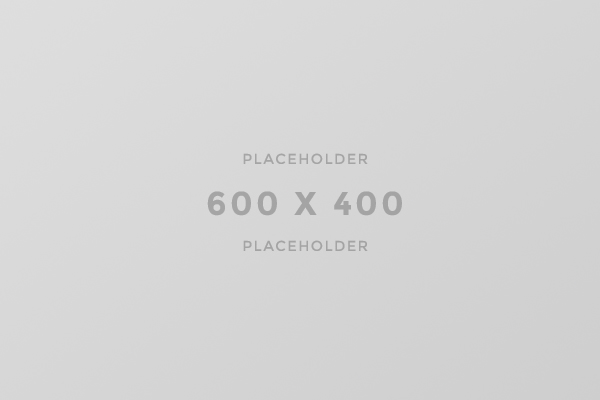 600×800-light