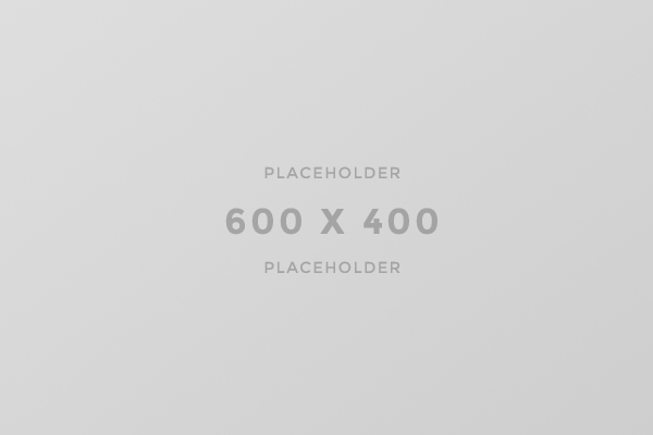 600×800-light
